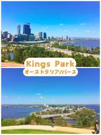 【オーストラリア/パース】世界一美しい街！パースの絶景が見える《Kings Park》