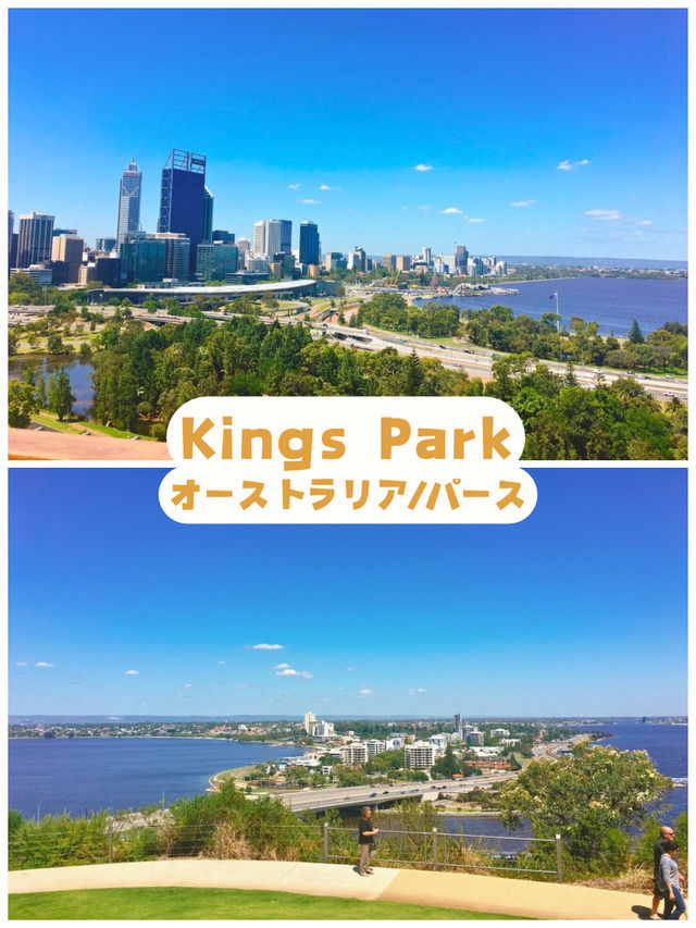 【オーストラリア/パース】世界一美しい街！パースの絶景が見える《Kings Park》