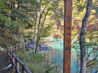 寸又峡 夢のつり橋