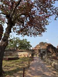 วัดมหาธาตุ อยุธยา – มรดกแห่งความขลังที่ห้ามพลาด