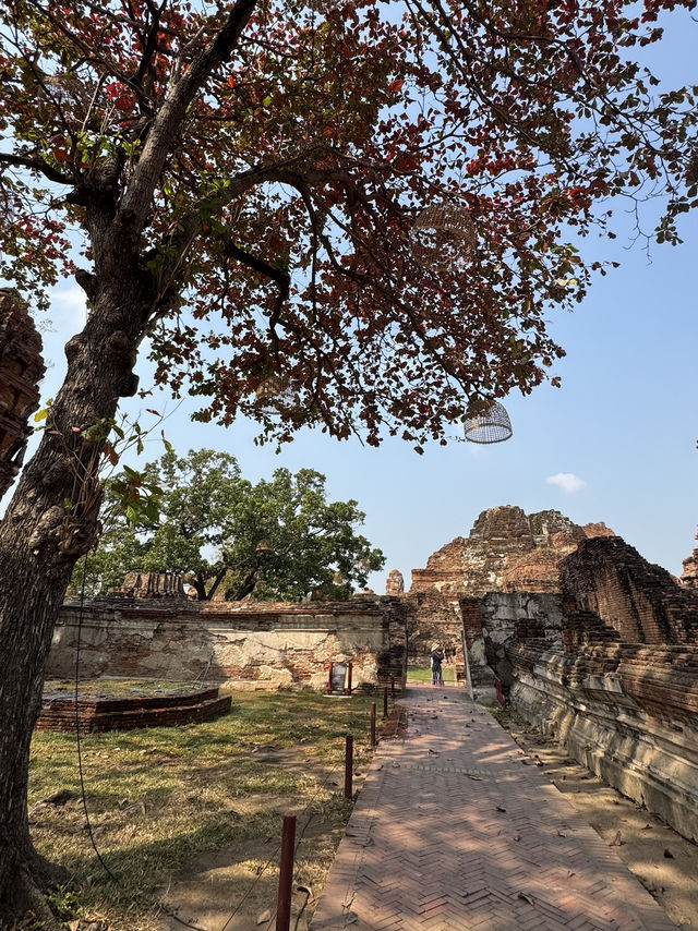 วัดมหาธาตุ อยุธยา – มรดกแห่งความขลังที่ห้ามพลาด