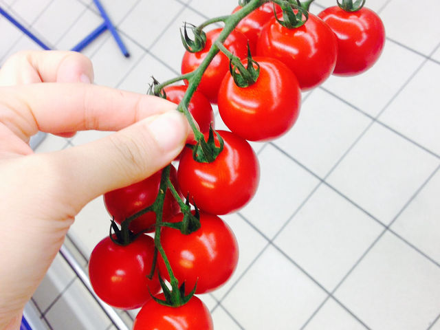 [동유럽/벨라루스] 백러시아, 하얀 러시아 🤍