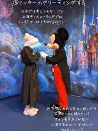 上海ディズニーランドでやりたいことリスト