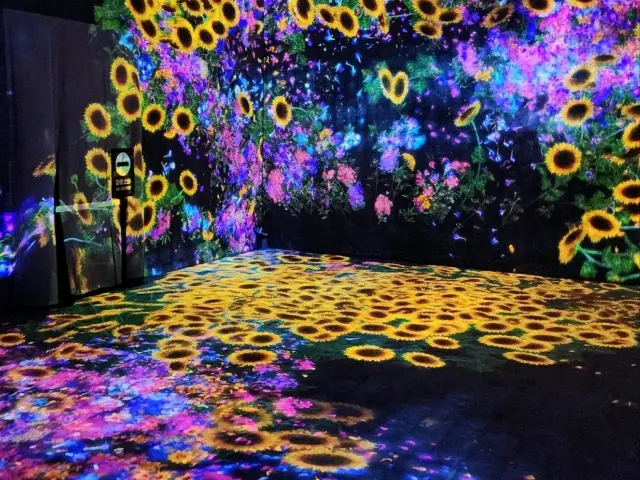 打卡聖地, 情侶拍拖必去地點