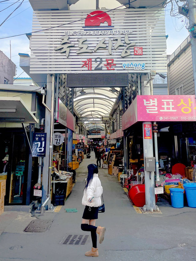 💙포항 1박 2일 여행 코스 | 바다, 맛집, 감성 핫플까지💙