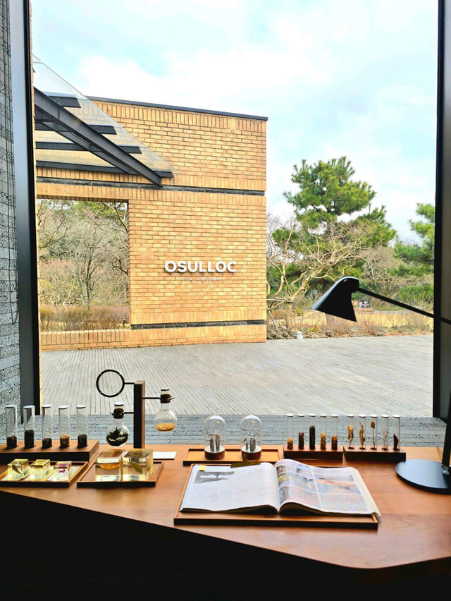 💭🧡제주 서쪽 가볼만한 곳 오설록 티뮤지엄 