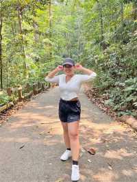 Hiking Guide to Bukit Timah Nature Summit