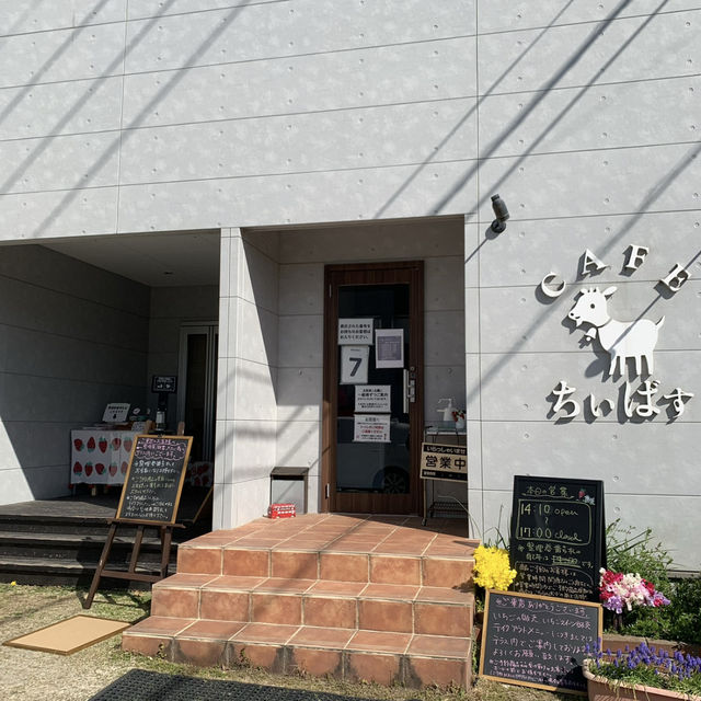 【豊後高田】🇯🇵 カフェちぃばす