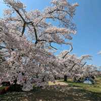 Mikamine Park (三神峯公園)