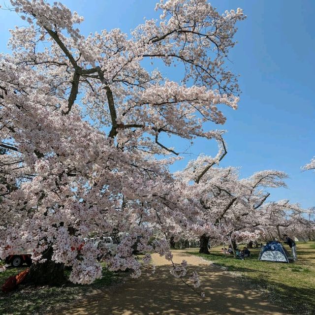 Mikamine Park (三神峯公園)