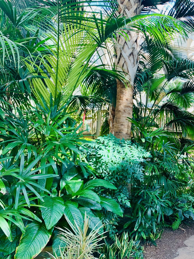 Springtime Bliss at Gaylord Palms Resort, Florida