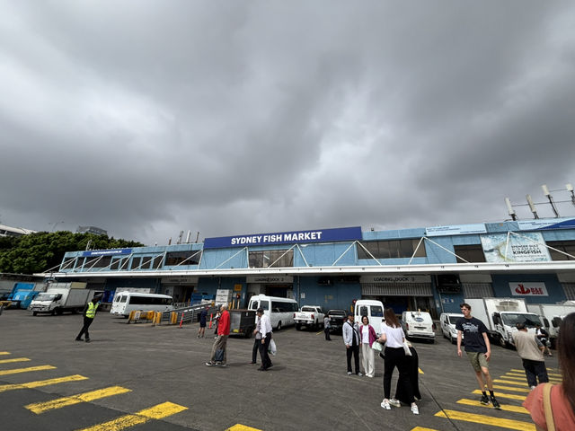 雪梨魚市場（Sydney Fish Market）海鮮愛好者必去