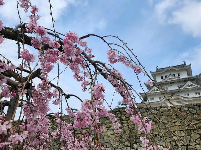 Himeji Castle Park, Himeji