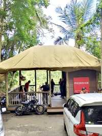 Bali Swing @Picheaven 