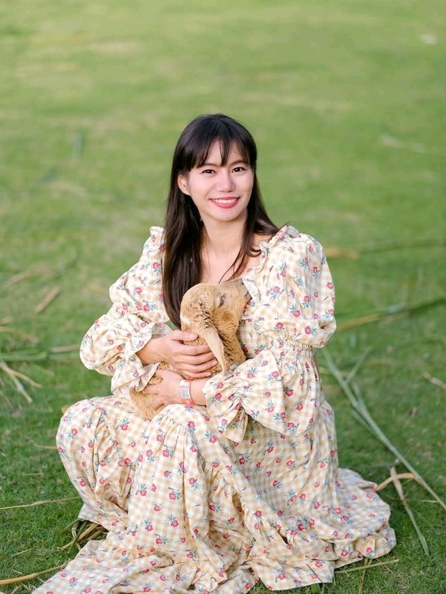 เที่ยวสวนผึ้งราชบุรี ที่ Alpacahill