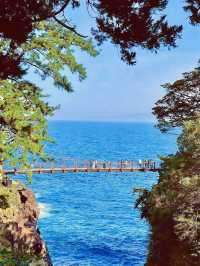 🌊 伊豆大室山 & 城ヶ崎海岸 日帰り旅行 🏝️
