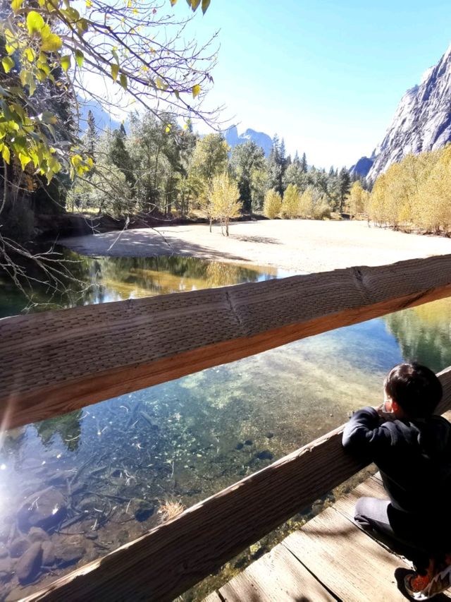 Yosemite: A Year-Round Wonderland, Day and Night!