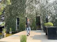 Anantara riverside chiangmail