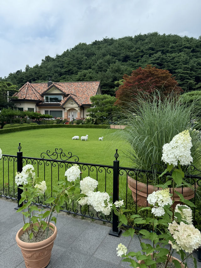 🏞️ 양평에서 보내는 1박2일 힐링 여행! (숨겨진 사진명소까지!)