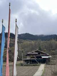 Culture Meets Art at ZhongCha Ditch