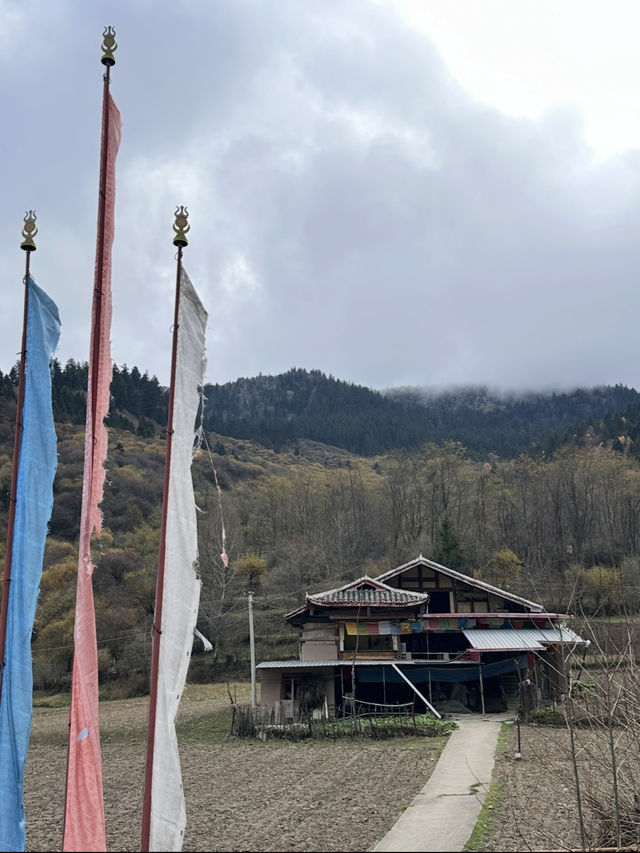 Culture Meets Art at ZhongCha Ditch