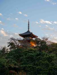 三溪園の朝イチで観光 🌿☀️ 静寂の中で歴史と自然を楽しむ