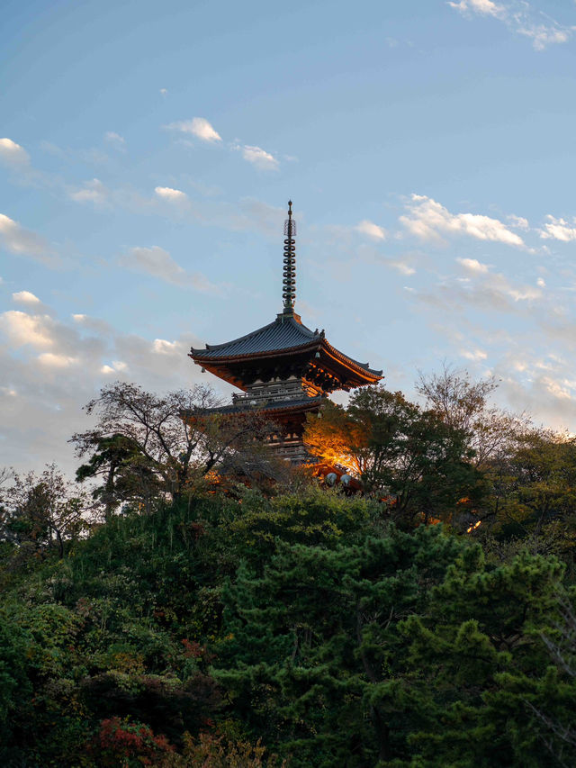 三溪園の朝イチで観光 🌿☀️ 静寂の中で歴史と自然を楽しむ