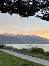 🇳🇿Kaikoura: A Paradise for Whale Watchers and Nature Lovers