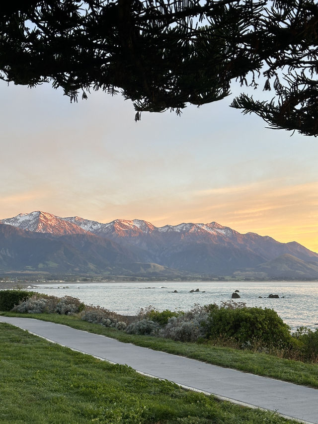 🇳🇿Kaikoura: A Paradise for Whale Watchers and Nature Lovers