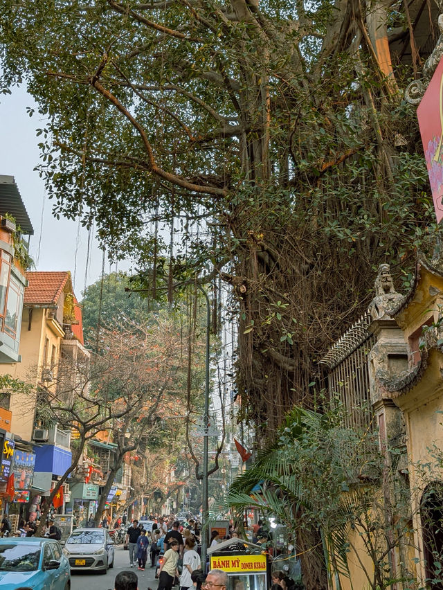  🇻🇳 Hanoi: The Contrasts of Spring Weather 🌤☁️  