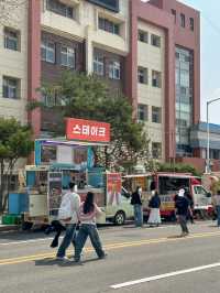 지금 당장 가야 할 청주 벚꽃 축제