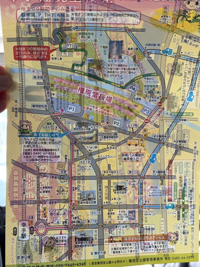 【幸手】権現堂桜まつり20250405