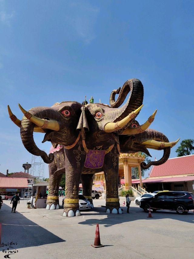 หนึ่งเดียวในไทย🚗 ขับรถลอดท้องช้าง🐘