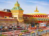 สวนสนุกโลกใต้ทะเล Shanghai Haichang Ocean Park