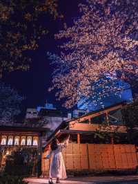 【名古屋】歴史あるお寺で桜春の訪れを感じよう！✨🌸