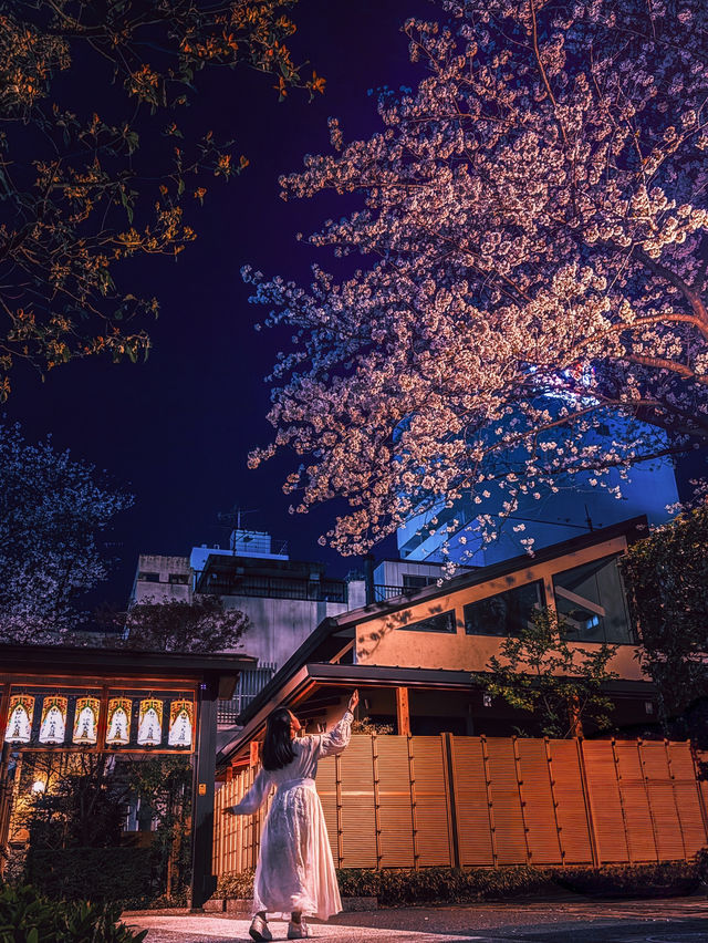 【名古屋】歴史あるお寺で桜春の訪れを感じよう！✨🌸
