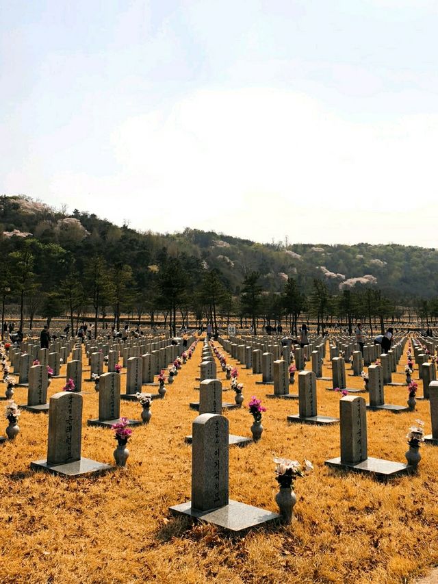벚꽃잎 휘날리던 시절, 국립서울현충원