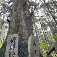 まつさかイレブン【高見山】⛰️