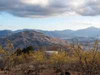 宝登山の頂上の秋