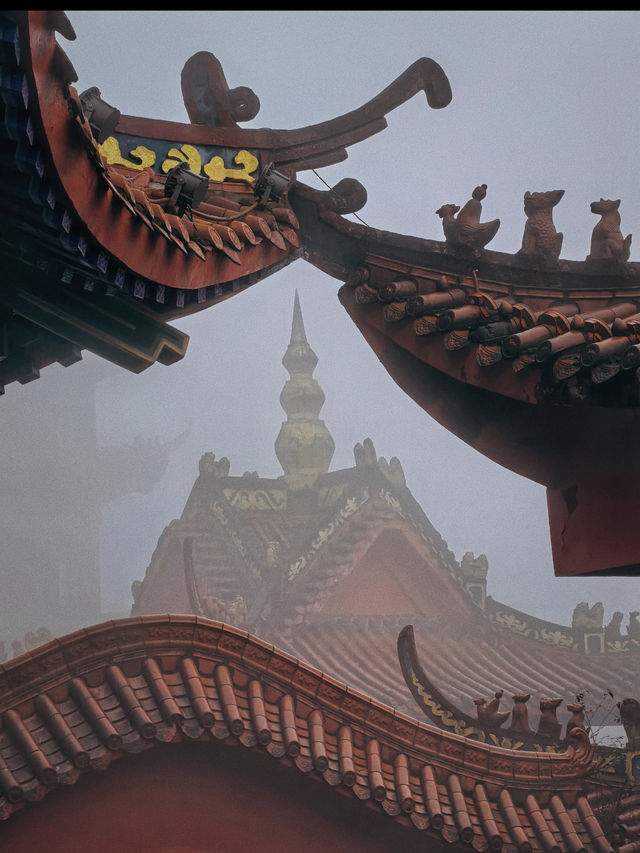 Step Into a Real-Life Emerald Wonderland Breathe Deep in the Bamboo Sea of Southern Sichuan 