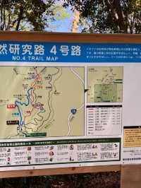 วิ่งเทรลไกล้โตเกียว เขา Takao ที่สายเทรลต้องมา