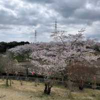 Shizumine Furusato Park, Ibaraki