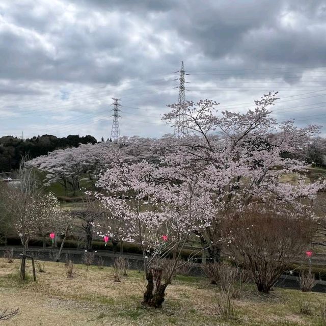 Shizumine Furusato Park, Ibaraki