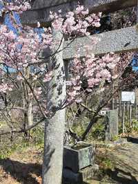 Takato Castle Park, Nagano