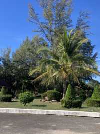 The Green Oasis