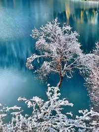Tranquil Trails: Jiuzhaigou’s Winter Wonderland