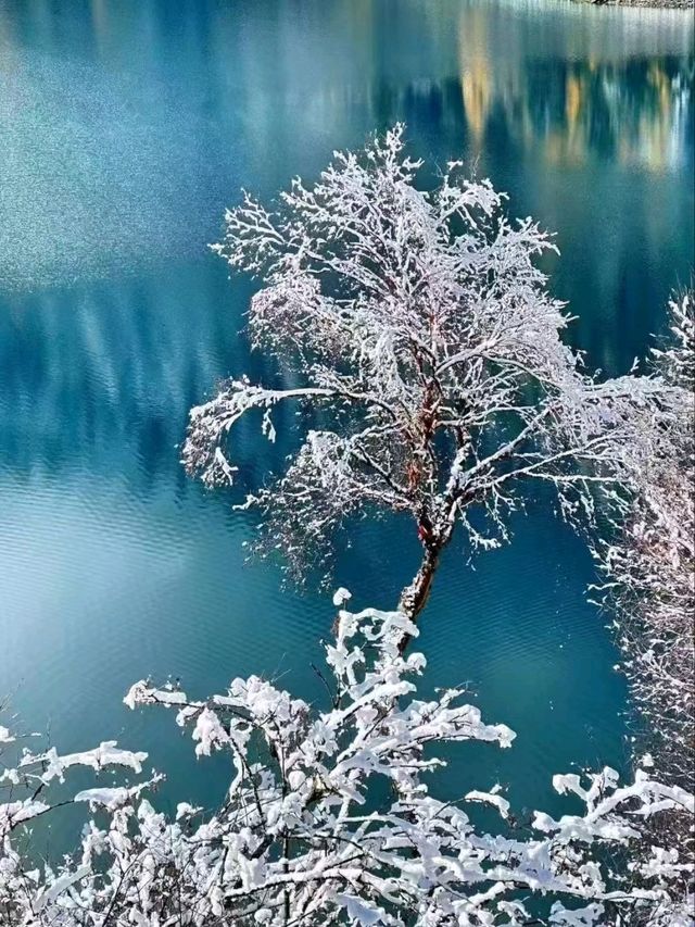 Tranquil Trails: Jiuzhaigou’s Winter Wonderland