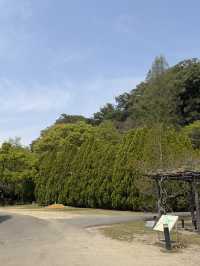 德島城遺跡
