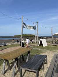 【宮崎】AOSHIMA BEACH PARK：青島の海辺で過ごす、日常と非日常が交差する場所
