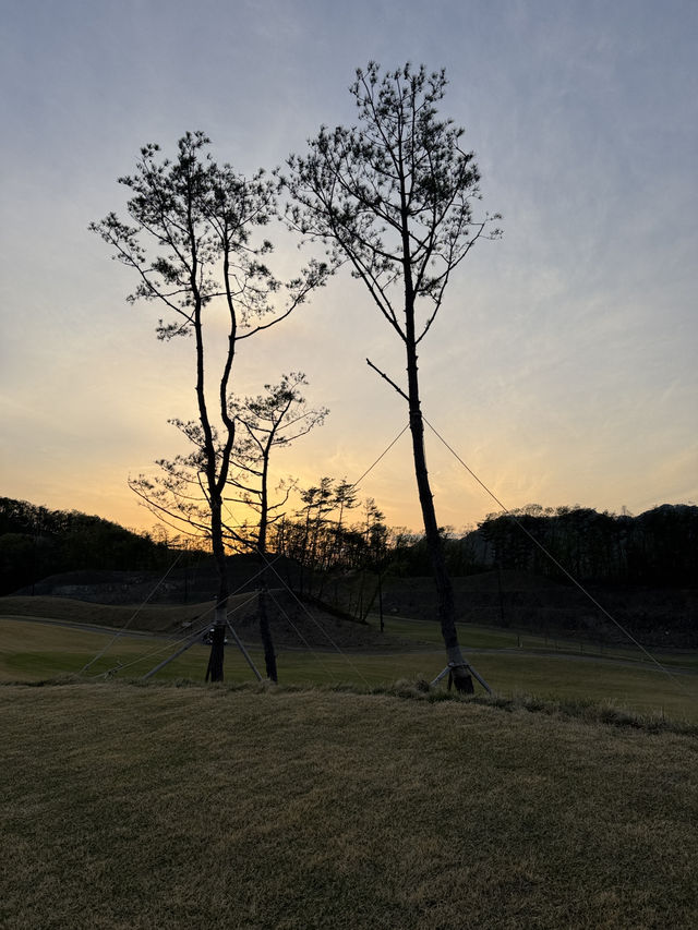 벨라 에서 골프 